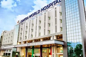 Sakra World Hospital image
