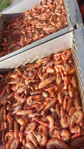 Motorcycle Dealer «Harley-Davidson of Dothan Inc», reviews and photos, 2418 Ross Clark Cir, Dothan, AL 36301, USA