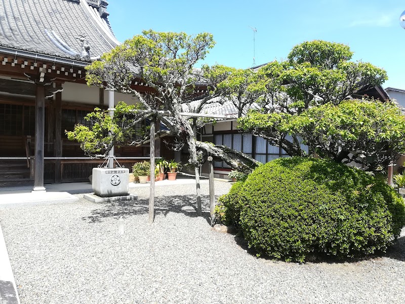 養泉寺