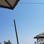 Photo n° 2 de l'avis de Jerome.A fait le 30/08/2019 à 12:41 pour Chez Costa à San-Giuliano