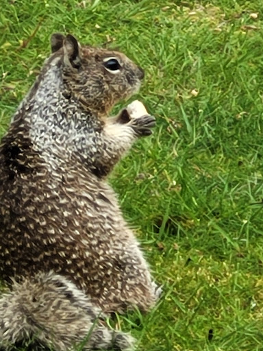 Historical Place «Vista House», reviews and photos, 40700 Historic Columbia River Hwy, Corbett, OR 97019, USA