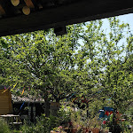 Photo n° 2 de l'avis de Amélie.u fait le 28/05/2022 à 21:53 pour Le chalet du bonheur à Manciet