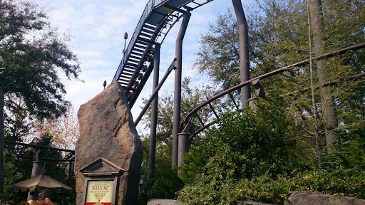 Roller Coaster «Dragon Challenge», reviews and photos, 6000 Universal Blvd, Orlando, FL 32819, USA