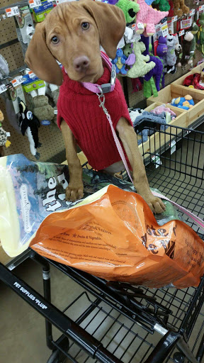 Pet Supply Store «Pet Supplies Plus», reviews and photos, 3320 Pentagon Blvd, Beavercreek, OH 45431, USA