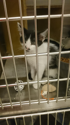 Pet Supply Store «PetSmart», reviews and photos, 12264 Chattanooga Plaza, Midlothian, VA 23112, USA