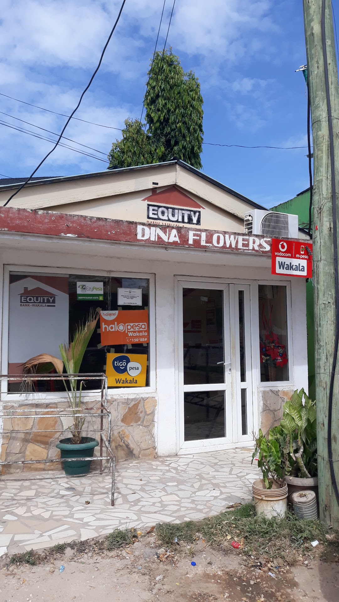 Dina Flowers