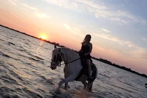 Cponies Beach Horseback Rides image