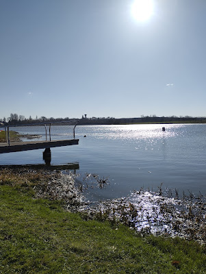 Etang de Mareuil sur Arnon à Mareuil-sur-Arnon