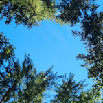 Photo n° 3 de l'avis de Ruud.a fait le 25/09/2023 à 21:07 pour Parc des barrages à Renaison