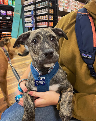 Pet Supply Store «Pets Naturally», reviews and photos, 1420 W South Airport Rd, Traverse City, MI 49686, USA