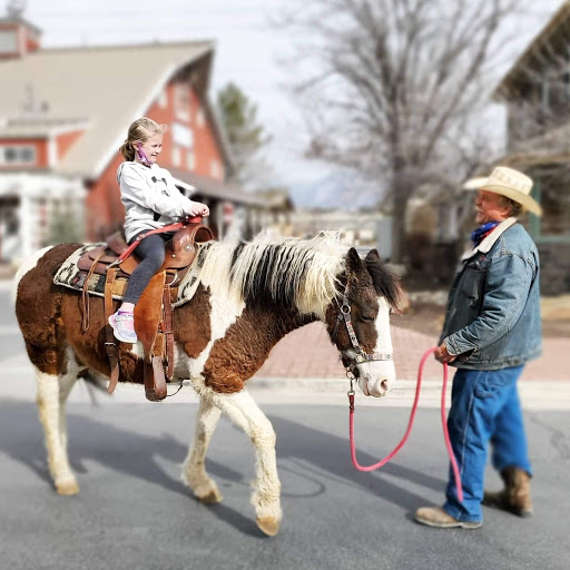 Tourist Attraction «The Farm at Gardner Village», reviews and photos, 1100 7800 S, West Jordan, UT 84088, USA