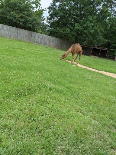 Tourist Attraction «Barn Hill Preserve», reviews and photos, 11370 LA-955, Ethel, LA 70730, USA