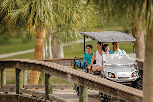Golf Cart Sales & Services, 15945 Henderson Rd, Goldsboro, MD 21636, USA, 