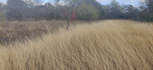 Park «Buffalo Ridge Park», reviews and photos, 5720 Parkwood Trail, Haltom City, TX 76137, USA