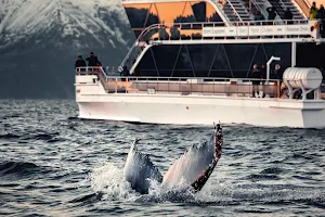 Brim Explorer Tromsø - Meeting Point Tours image