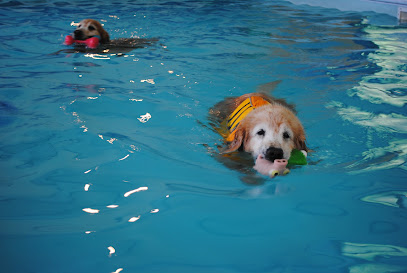 Coastal Canine Hydrotherapy & Fitness Centre