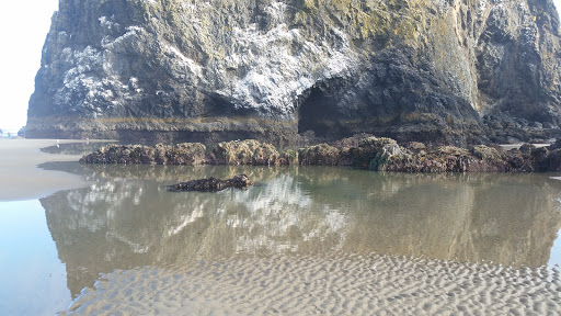 Tourist Attraction «Haystack Rock», reviews and photos, US-101, Cannon Beach, OR 97110, USA