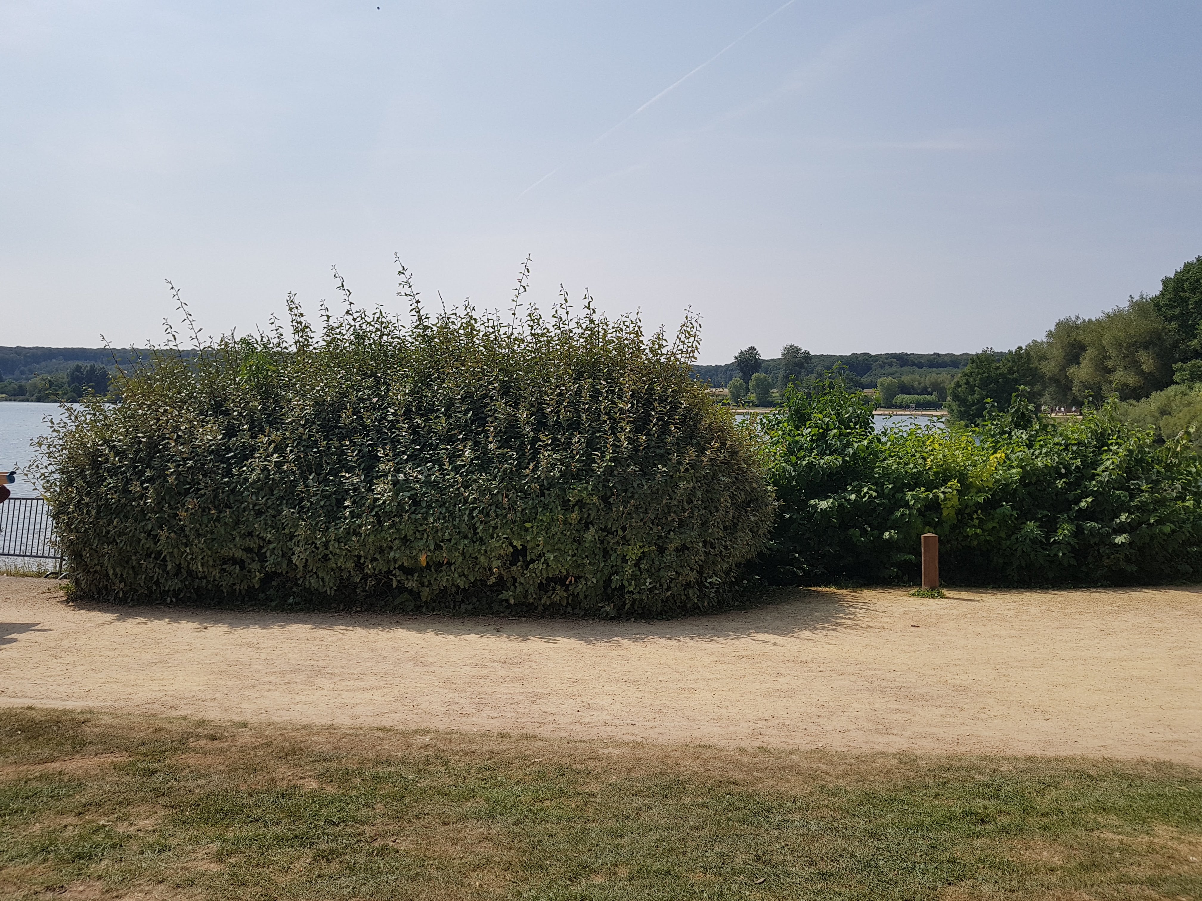 Photo n° 4 de l'avis de Sylv.n fait le 20/08/2018 à 09:49