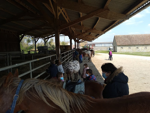 Centre Equestre de la Virevolte à Douadic