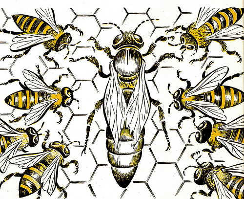 Queen Bee - Bonyhád