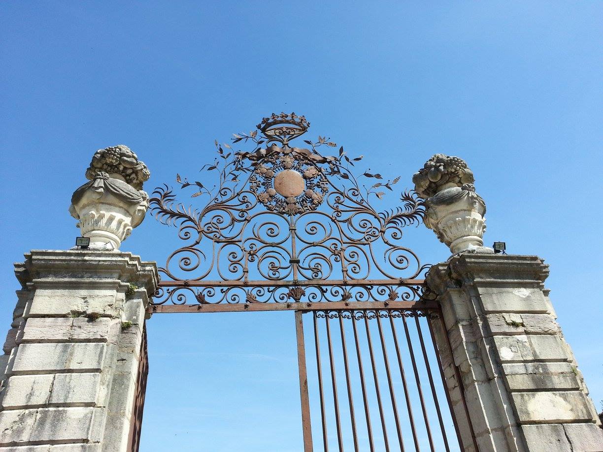 Photo n° 2 de l'avis de Gérard.e fait le 10/03/2024 à 12:49