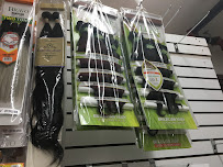 Beauty Giant - Photo 7 - Car repair in Fayetteville, NC, Fayetteville