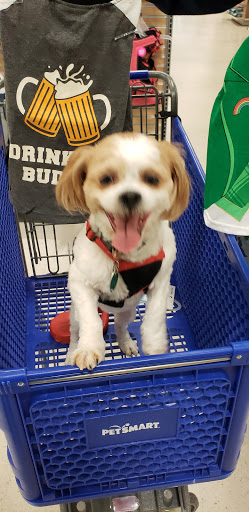 Pet Supply Store «PetSmart», reviews and photos, 30 Malphrus Rd, Bluffton, SC 29910, USA