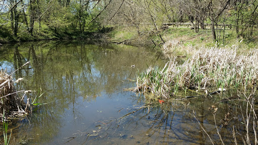 Park «Hayes Park», reviews and photos, 1516 N Lincoln St, Arlington, VA 22201, USA