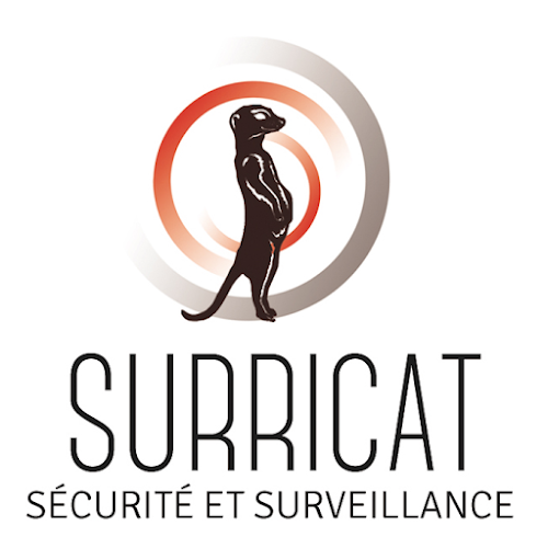 Magasin de matériel de surveillance Surricat Saint-Julien-de-Concelles