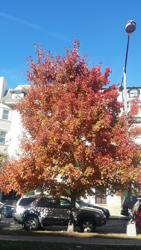 Modern Art Museum «The Phillips Collection», reviews and photos, 1600 21st St NW, Washington, DC 20009, USA