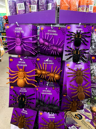 Dollar Store «Dollar Tree», reviews and photos, 1044 S Main St, Chelsea, MI 48118, USA