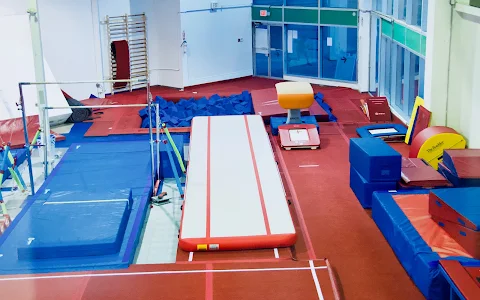 TRYumph Gymnastics Academy image