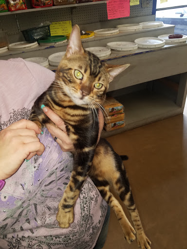 Pet Store «Oasis Tropicals», reviews and photos, 507 Commerce St, Pleasanton, TX 78064, USA