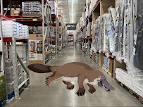 Sam's Club - Photo 3 - Car repair in Nicholasville, KY, Lexington
