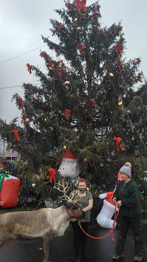 Auto Repair Shop «SJM Auto Sales & Repair», reviews and photos, 753 PA-93, Sybertsville, PA 18251, USA