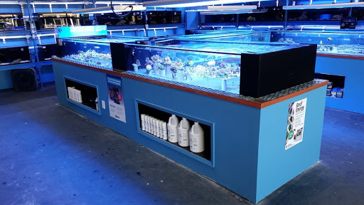 Tropical Fish Store «Shipwreck Cove Custom Aquariums», reviews and photos, 215 S El Camino Real, Encinitas, CA 92024, USA