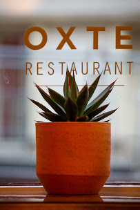 Photos du propriétaire du Restaurant mexicain Restaurant Oxte à Paris - n°8