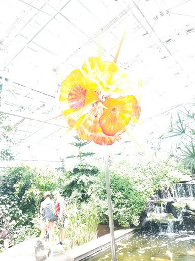 Amusement Center «OdySea in the Desert», reviews and photos, 9500 East Vía de Ventura, Scottsdale, AZ 85256, USA