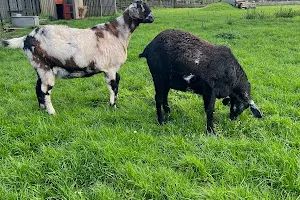 Goats Park image