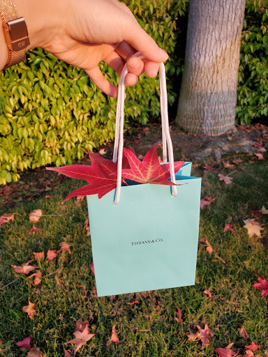 Jewelry Store «Tiffany & Co.», reviews and photos, 3333 Bristol St, Costa Mesa, CA 92626, USA