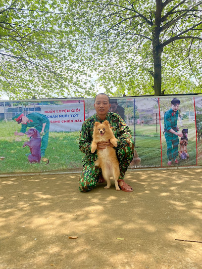 Trung Tâm Huấn Luyện Chó Sài Gòn Pet's