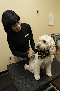 Good Dog Hotel & Spa - Photo 9 - Car repair in Indianapolis, IN, Indianapolis