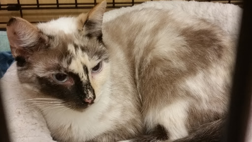 Pet Supply Store «Pet Supplies Plus», reviews and photos, 311 Sagamore Pkwy N, Lafayette, IN 47904, USA