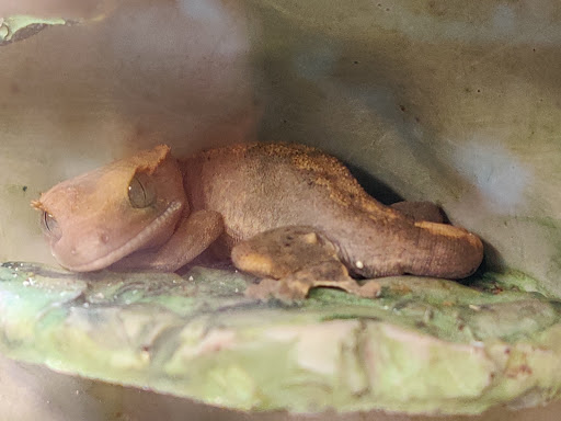 Pet Supply Store «Petco Animal Supplies», reviews and photos, 1670 Airport Blvd #700, Pensacola, FL 32504, USA