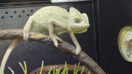 Pet Supply Store «PetSmart», reviews and photos, 400 S State Rd, Springfield, PA 19064, USA