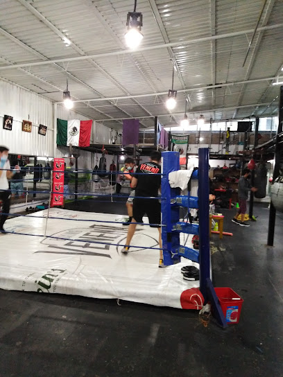 VENENO BOXING GYM