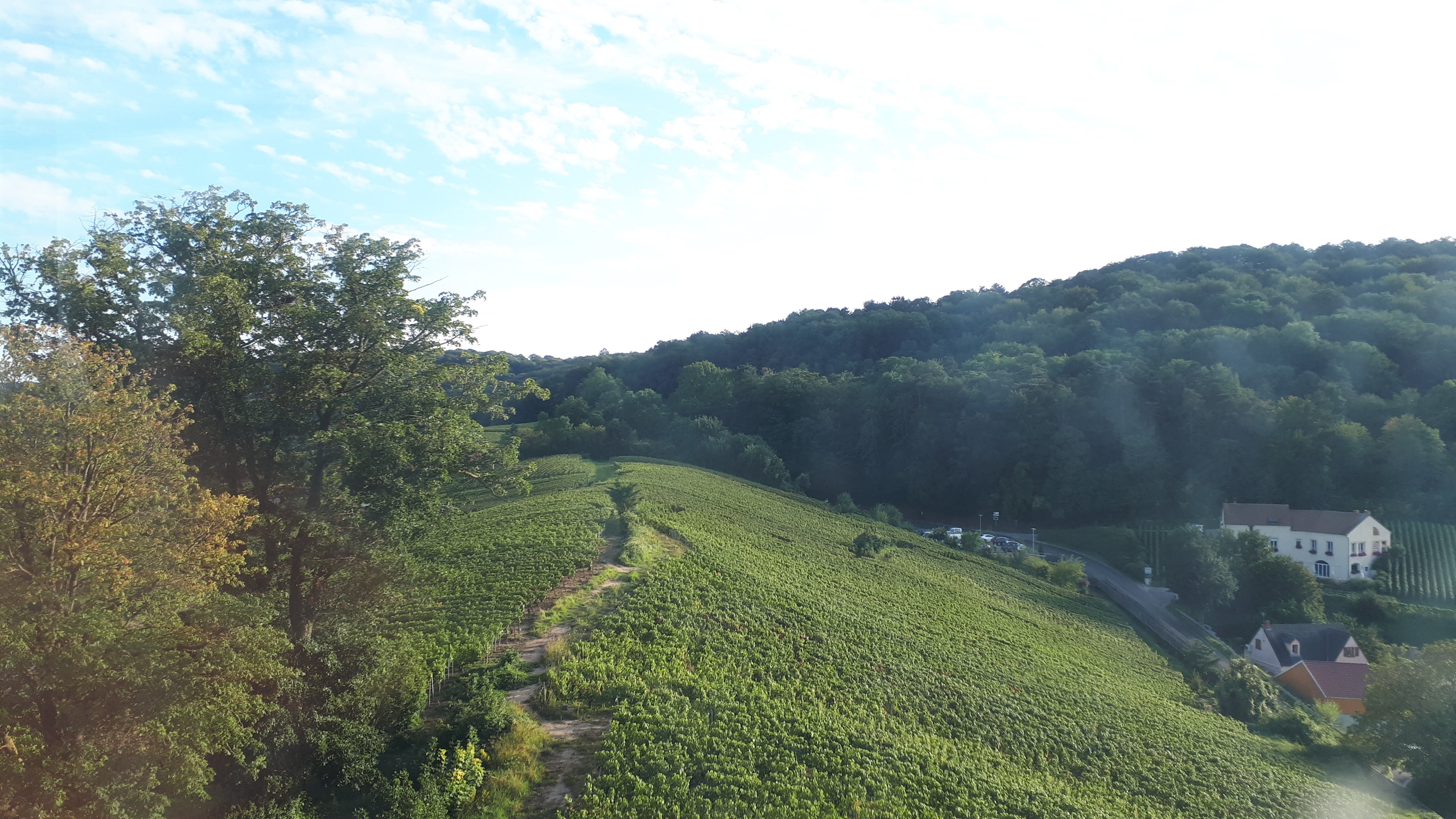 Photo n° 10 de l'avis de Françoise.o fait le 21/09/2021 à 16:22