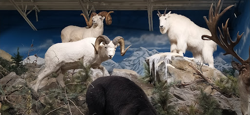 Outdoor Sports Store «Field & Stream», reviews and photos, 520 Clock Tower Way, Crescent Springs, KY 41017, USA