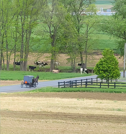 Tourist Attraction «Strasburg Rail Road», reviews and photos, 301 Gap Rd, Ronks, PA 17572, USA