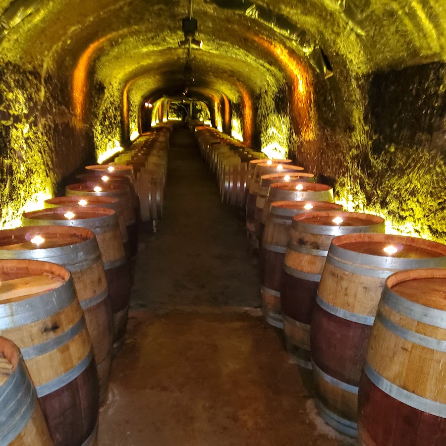 Del Dotto Historic Winery & Caves